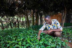 Coffee Villages, Rwanda