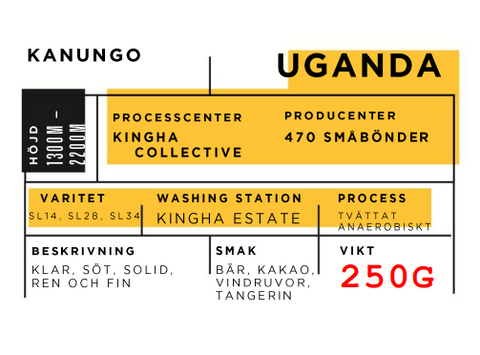 Kingha Collective, Uganda