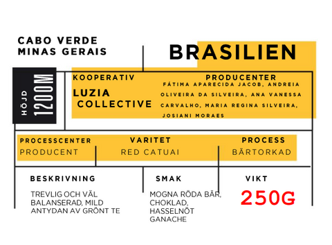 Luzia Collective, Brasilien