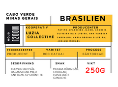 Luzia Collective, Brasilien
