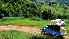 La Claudina, Colombia