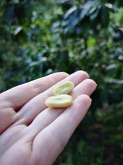 La Claudina, Colombia