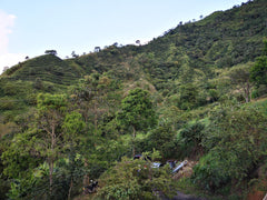 La Claudina, Colombia