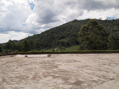Sitio Vargem Grande, Brazil
