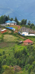 Kingha Collective, Uganda