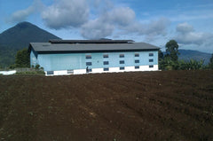 Java Frinsa Estate (Honey), Indonesia