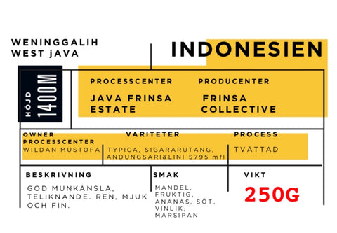 Frinsa Collective, Indonesia