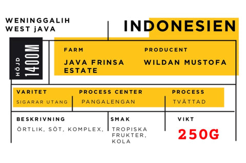 Java Frinsa Estate, Indonesia