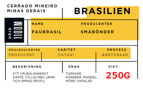 PauBrasil, Brazil