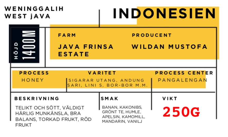 Java Frinsa Estate (Honey), Indonesia