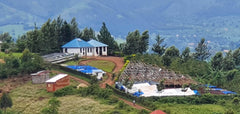 Kingha Collective, Uganda