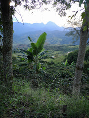 La Claudina, Colombia